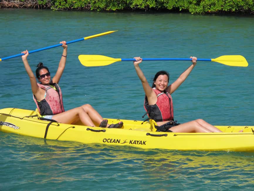 Immagine nº 1 di Saint Thomas: Tour delle mangrovie in kayak e snorkeling attività a Red Hook, Saint Thomas, caricata dal fornitore
