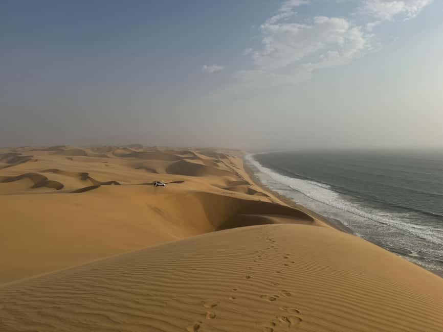 image n.34 of Walvisbay: Sandwich Harbour 4x4 Tour-Unparalleled Experience activity in Erongo, uploaded by supplier