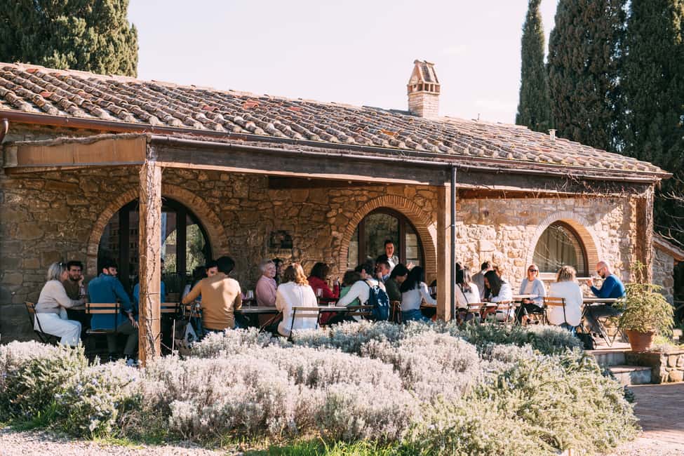 imagen n.º 23 de Desde Florencia: Visita a las Bodegas de las Colinas del Chianti con Degustación actividad en Florencia, subida por el proveedor