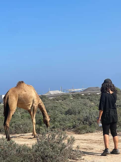 Immagine nº 34 di Muscat: escursione di un'intera giornata a Wadi Shab, grotta romantica e sinkhole attività a Regione al-Sharqiyya, caricata dal fornitore