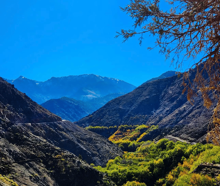 imagen n.º 6 de Desde Marrakech: Excursión de un día a las montañas del Atlas con paseo en camello actividad en Marrakech, subida por el proveedor