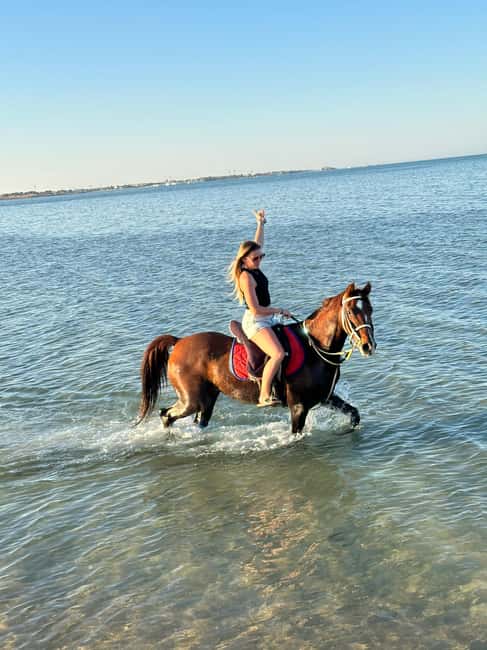 image n.4 of Hurghada: Desert and Beach Horse Riding Adventure activity in Hurghada, uploaded by supplier
