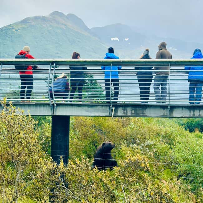 image n.16 of Alaska Wildlife Conservation Center: Admission Ticket activity in Anchorage, uploaded by supplier