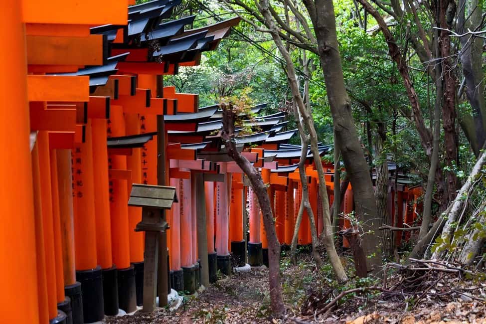 obrázek č.16 aktivity Osaka/Kyoto: Fushimi Inari Taisha, Arashiyama, Nara autobusová prohlídka v destinaci Kjóto, nahraný poskytovatelem aktivity