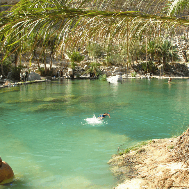 Immagine nº 6 di Muscat: tour di un giorno nel deserto di Wahiba Sands e Wadi Bani Khalid attività a Regione al-Sharqiyya, caricata dal fornitore