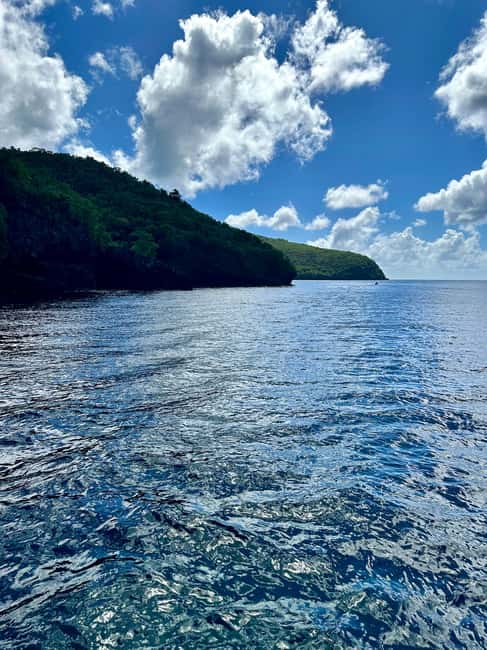 Image N°10 de Martinique : Découverte des tortues et des anses coralliennes activité à Les Anses-d’Arlet, publiée par le prestataire