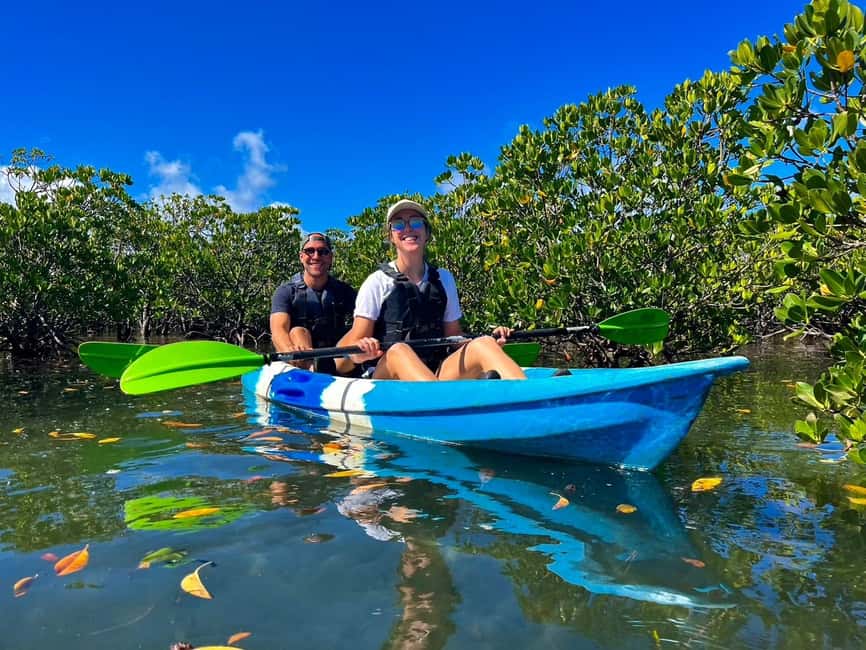 image n.12 of Iriomote island: Mangrove River SUP or Canoe Cruising Tour activity in Taketomi Island, uploaded by supplier