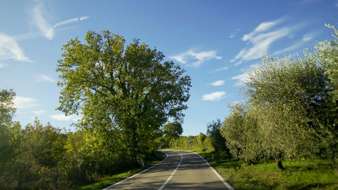 Immagine nº 4 di Da Firenze: Chianti, Montalcino e Montepulciano - Minivan attività a Firenze, caricata dal fornitore