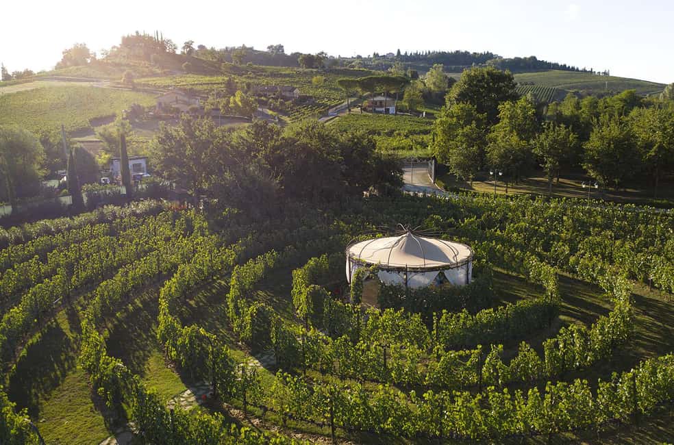 Immagine nº 10 di Firenze: Corso di cucina a San Gimignano con degustazione di vini attività a Firenze, caricata dal fornitore