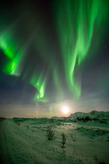 image n.5 of Svolvær: Ultimate Aurora Hunt activity in Svolvær, uploaded by supplier