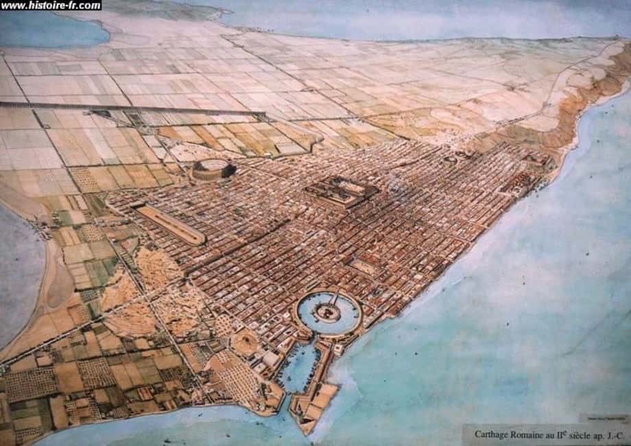Image N°7 de Visite de Carthage activité à Carthage, publiée par le prestataire