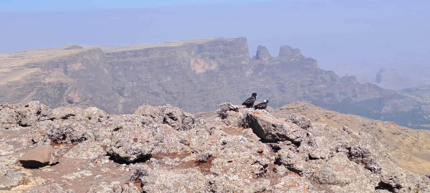 image n.41 of From Gondar: 2-Day Simien Mountains Trekking Tour activity in Gondar, uploaded by supplier