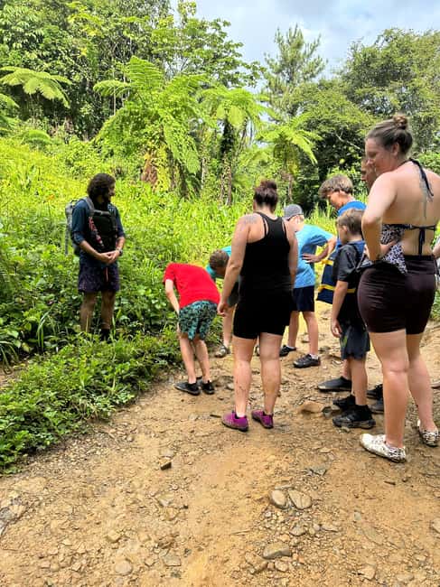 billede nr.32 af aktiviteten Fajardo: Guidet eventyr i El Yunque-skoven i Río Grande, Puerto Rico, uploadet af udbyder