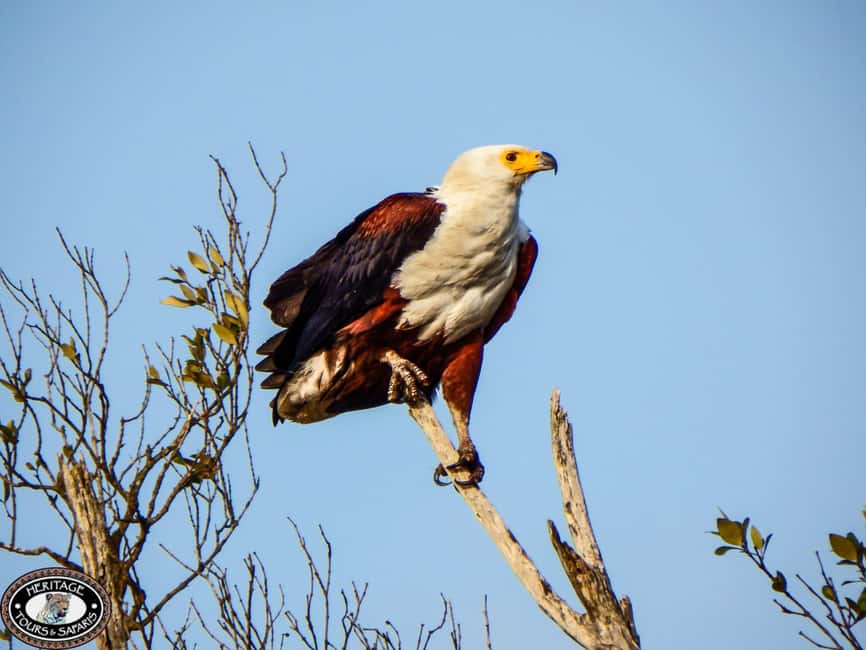 image n.15 of From St Lucia: 3 Day 2 Night Hluhluwe,St Lucia, iSimangaliso activity in Hlabisa, uploaded by supplier
