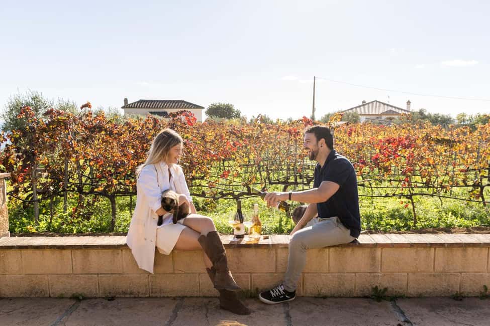 imagen n.º 6 de Málaga: Visita a viñedos y bodegas con 6 vinos de primera y tapas actividad en Málaga, subida por el proveedor