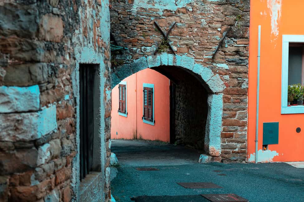 Immagine nº 21 di Trieste: Tour delle origini del Prosecco e degustazioni di 2,5 ore attività a Trieste, caricata dal fornitore
