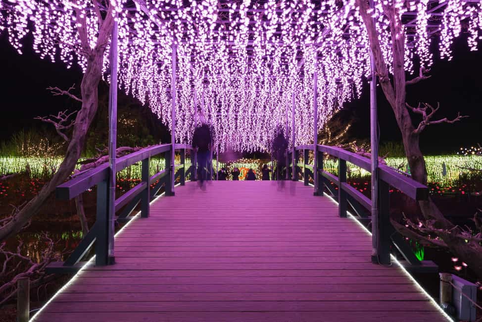 Immagine nº 5 di Da Tokyo: tour privato Nikko Nature & Culture Escape attività a Nikkō, caricata dal fornitore