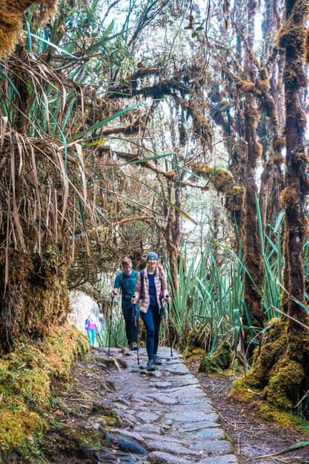 imagen n.º 18 de Desde Cusco: Camino Inca de 4 días a Machu Picchu Grupos reducidos actividad en Departamento del Cuzco, subida por el proveedor