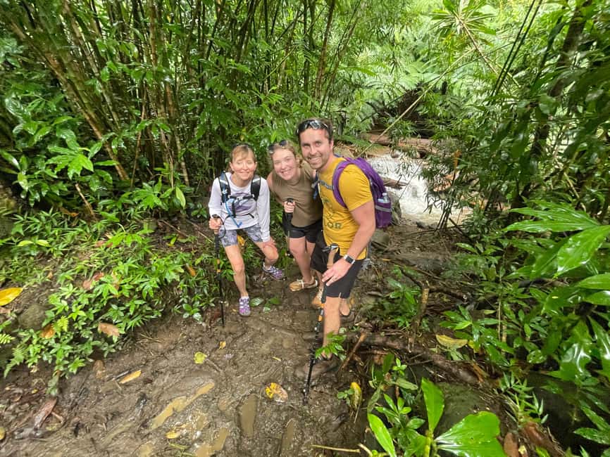 Immagine nº 38 di Oahu: Giro in bici elettrica a Waikiki ed escursione alle cascate di Manoa attività a Honolulu, caricata dal fornitore