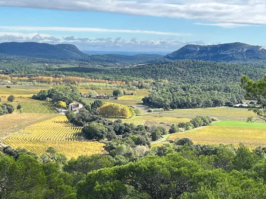 imagem n.9 de Montpellier: Excursão vinícola Pic Saint-Loup atividade em Sul da França, carregada pelo fornecedor
