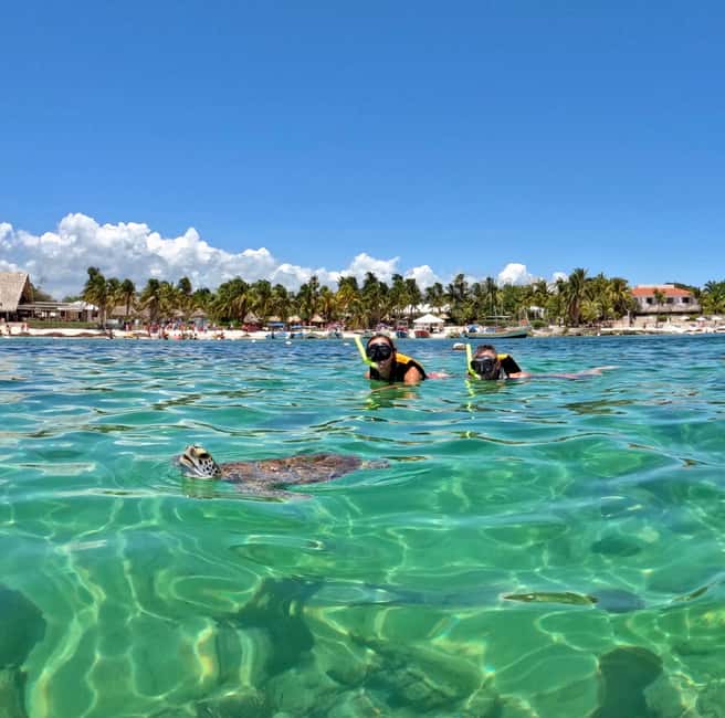Obraz nr 3 z atrakcji Akumal: Snorkeling i zdjęcia z żółwiami w Akumal, przesłany przez organizatora