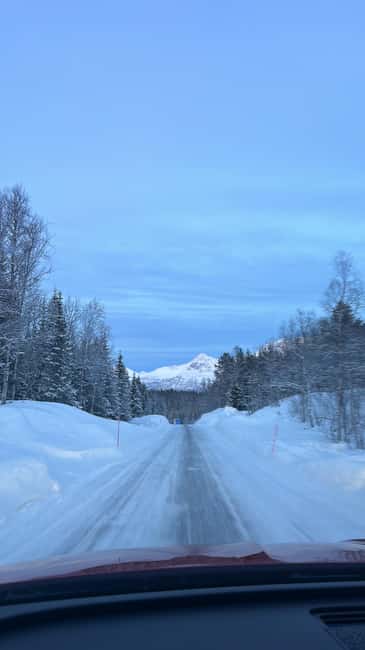 image n.18 of Narvik/Harstad:Day tour of Fjords with stop at Reindeer farm activity in Narvik, uploaded by supplier