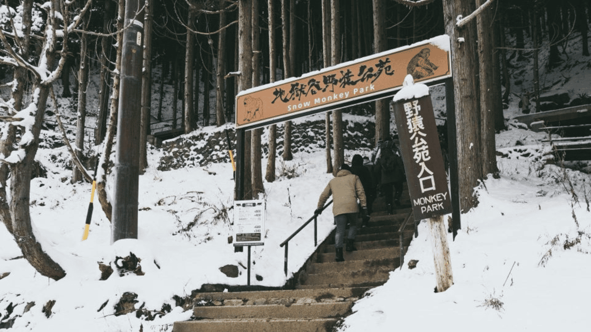 image n.5 of From Tokyo: Private Tour Snow Monkey Park & Zenko-ji Temple activity in Nagano, uploaded by supplier