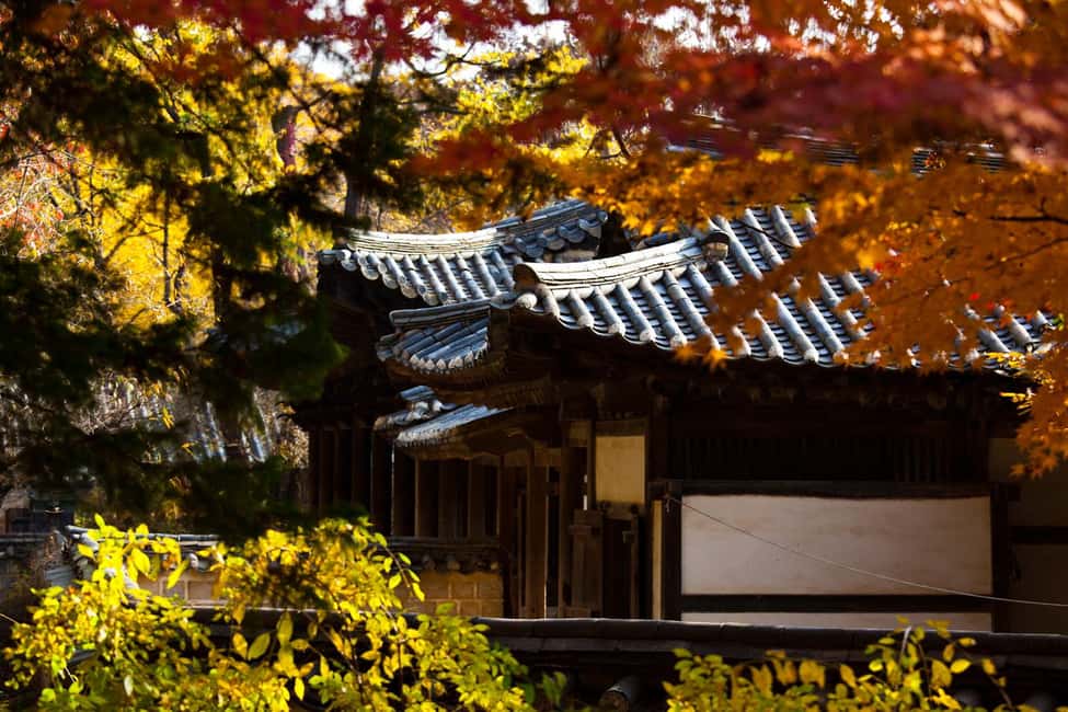 image n.13 of Seoul: Suwon Hwaseong Fortress & Korean Folk Village Tour activity in Yongin-si, uploaded by supplier