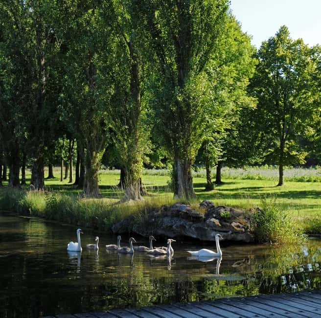 image n.7 of Chantilly: Château de Chantilly Park Entry Ticket activity in Chantilly, uploaded by supplier
