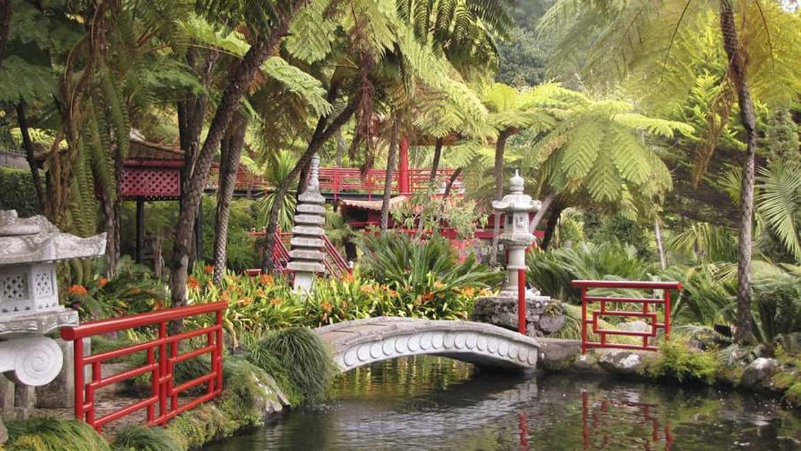 image n.9 of Madeira: Monte Tropical Gardens + Old Town Tuk Tuk by MadTuk activity in Funchal, uploaded by supplier