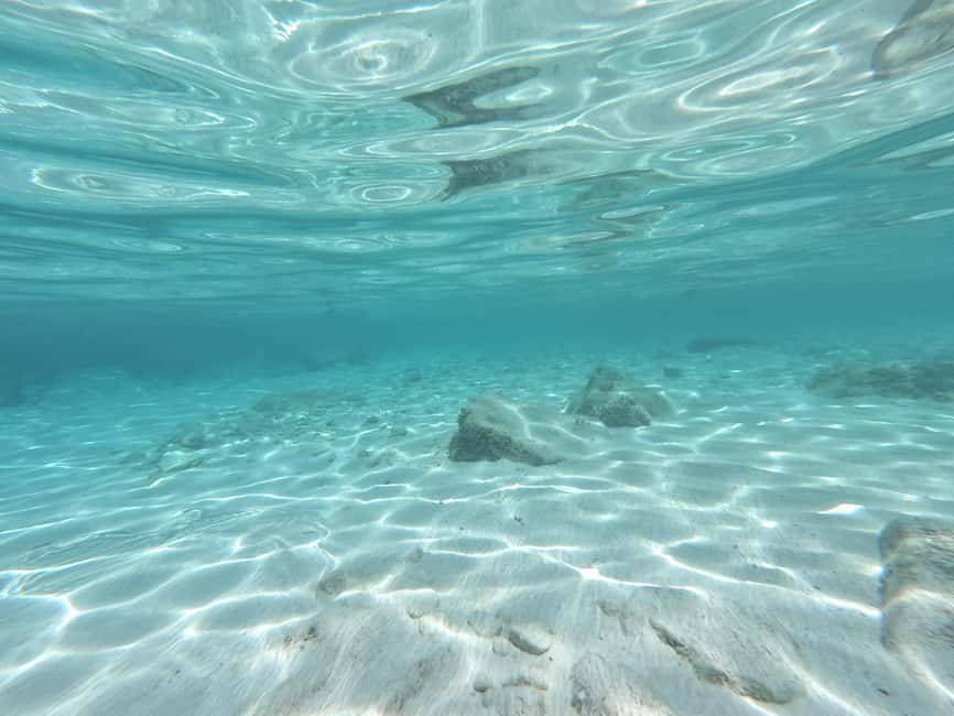 Obraz nr 8 z atrakcji Hvar: Prywatna wycieczka żaglówką z pływaniem i snorkelingiem w Dalmacja, przesłany przez organizatora