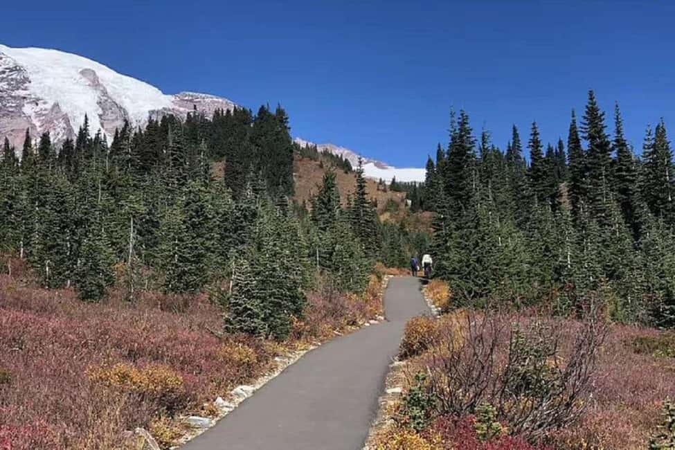 imagem n.6 de De Seattle: Excursão guiada de um dia ao Monte Rainier atividade em Washington, carregada pelo fornecedor