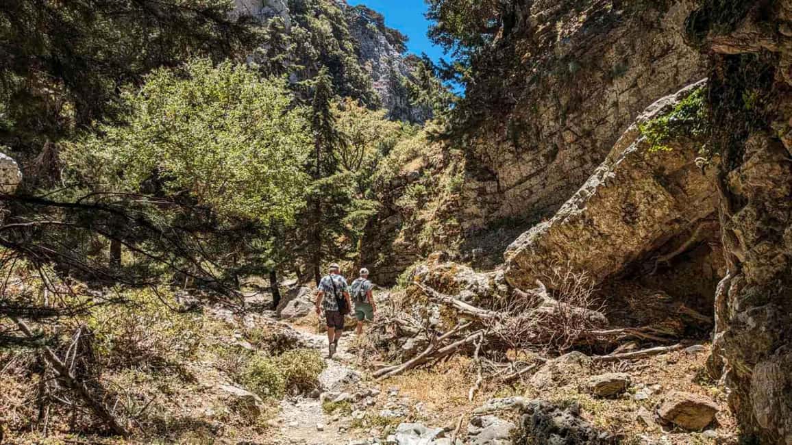 image n.22 of From Rethymno: Imbros Gorge & Libyan Guided Sea Tour activity in Crete, uploaded by supplier