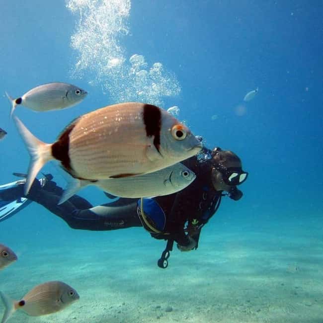 image n.4 of Fethiye: Fly and Dive, Paragliding and Scuba Diving Together, Transfer Included activity in Aegean Coast Region, Turkey, uploaded by supplier
