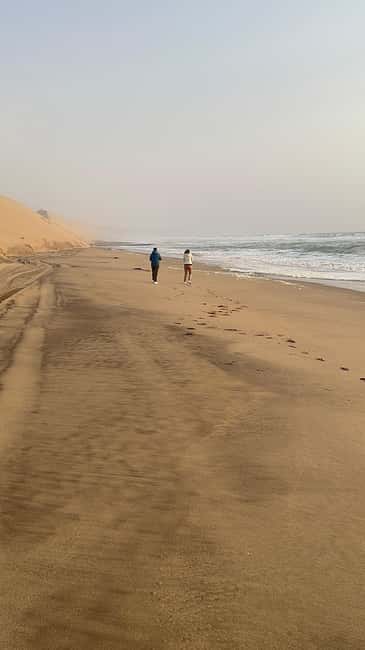 image n.38 of Walvisbay: Sandwich Harbour 4x4 Tour-Unparalleled Experience activity in Erongo, uploaded by supplier