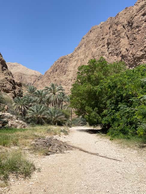 Immagine nº 32 di Muscat: escursione di un'intera giornata a Wadi Shab, grotta romantica e sinkhole attività a Regione al-Sharqiyya, caricata dal fornitore