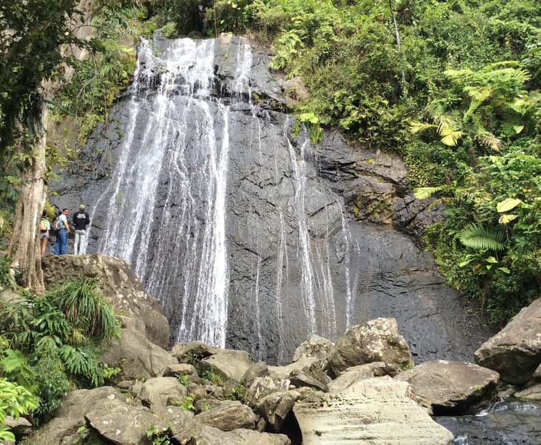 billede nr.5 af aktiviteten San Juan: Guidet tur i El Yunque-regnskoven i Río Grande, Puerto Rico, uploadet af udbyder