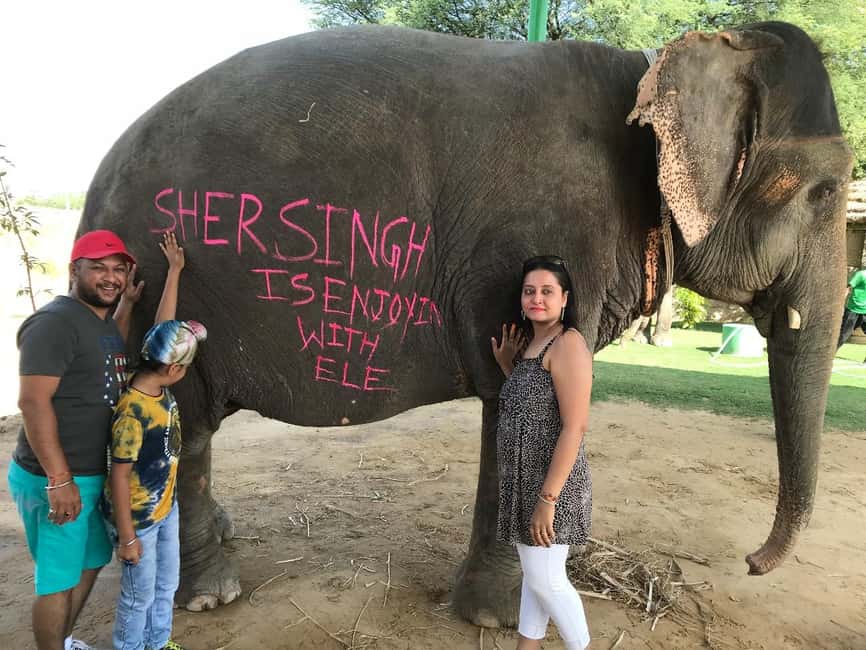 image n.2 of Jaipur: Elephant Interaction Tour activity in Jaipur, uploaded by supplier