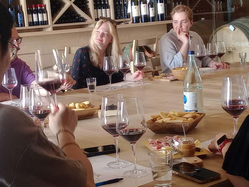 Immagine nº 64 di Il tour completo dell'Amarone: 2 cantine, pranzo e approfondimento sull'Amarone attività a Verona, caricata dal fornitore