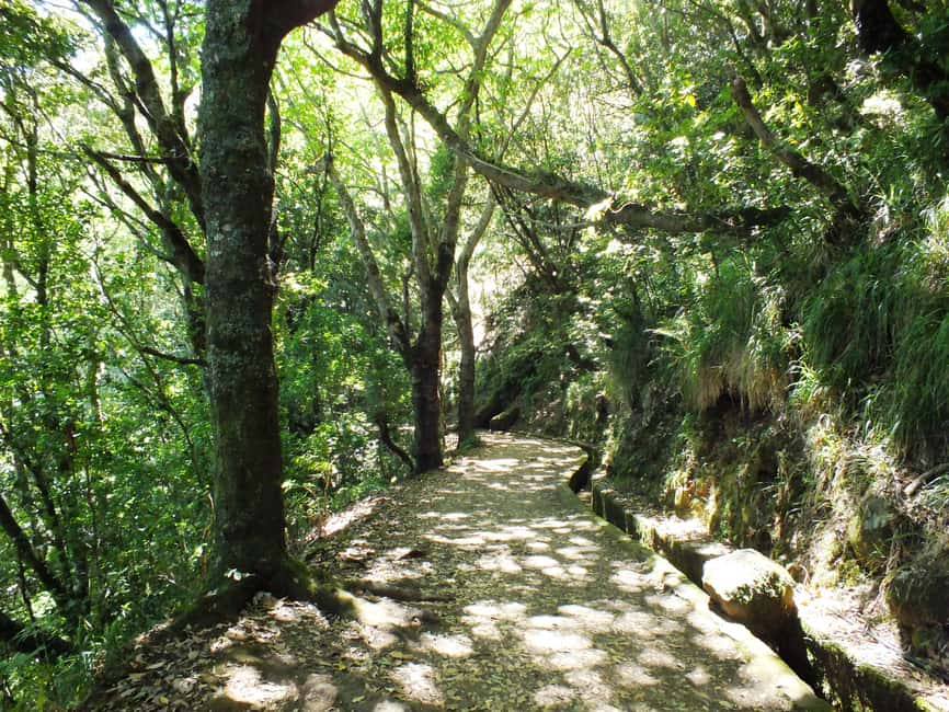 image n.12 of Madeira: Arieiro, Santana, Ponta de São Lourenço Jeep Tour activity in Madeira, uploaded by supplier