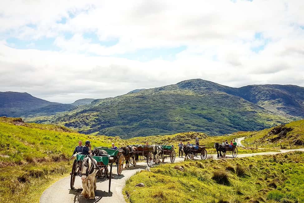image n.5 of Killarney: Gap of Dunloe Pony, Trap & Traditional Boat Tour activity in Munster, Ireland, uploaded by supplier
