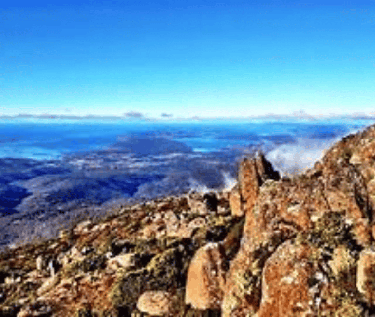 image n.2 of Hobart: Shore Excursion, Sights Wildlife Sanctuary and Lunch activity in Hobart, uploaded by supplier