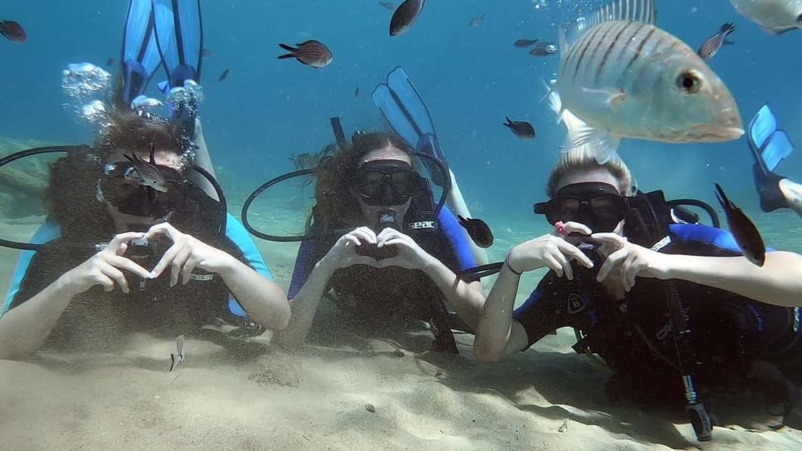 Immagine nº 10 di Heraklion: Lezione di immersione subacquea per principianti con istruttore PADI attività a Agia Pelagia, caricata dal fornitore
