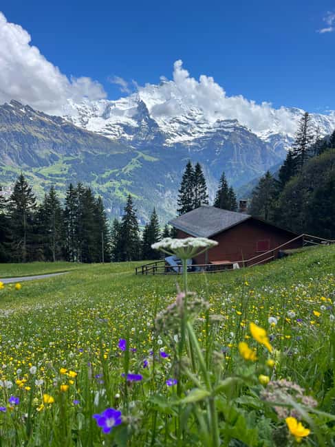 imagen n.º 2 de Interlaken: excursión a un lago alpino y a un acogedor refugio de montaña. actividad en Spiez, subida por el proveedor