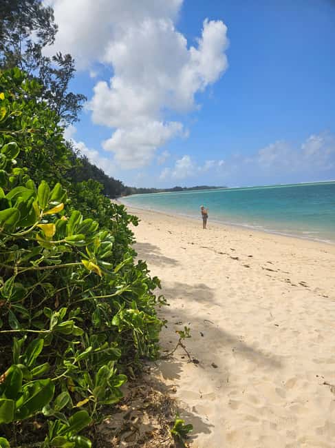 bild nr.7 av Mauritius: Vaniljpark och vilda stränder Tour aktivitet i Riviere des Anguilles, uppladdad av arrangören