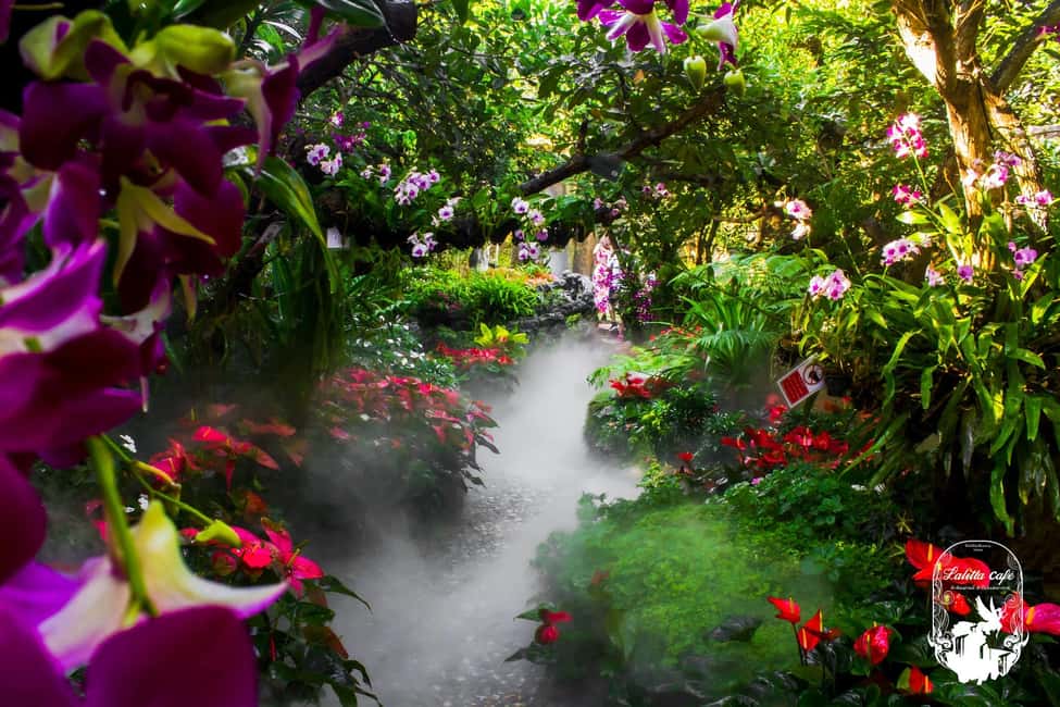 image n.24 of Chiangmai to Chiangrai: 3 Temples, Hot Springs& Lalitta Cafe activity in Chiang Rai, uploaded by supplier