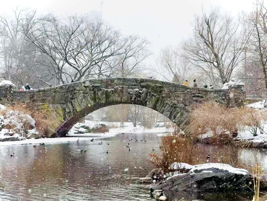 imagem n.7 de NOVA IORQUE: Home Alone 2 e Elf Tour no Central Park atividade em Nova Iorque, carregada pelo fornecedor