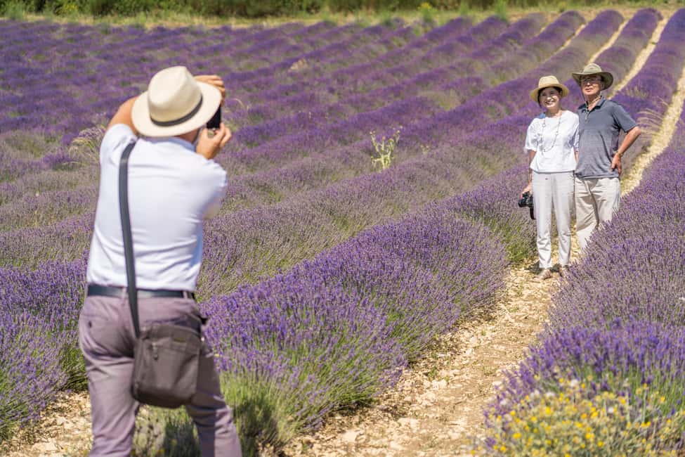 image n.8 of From Avignon: Half Day Lavender Tour to Sault activity in South of France, uploaded by supplier