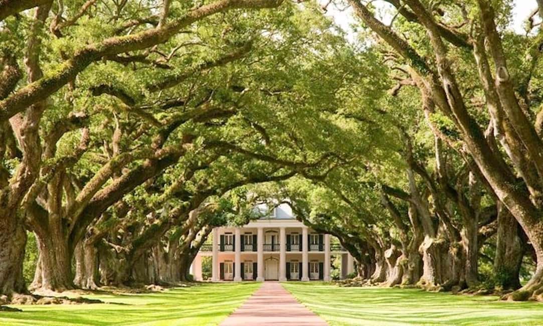 Immagine nº 2 di New Orleans: Oak Alley o Laura Plantation e tour in idroscivolante attività a Vacherie, Louisiana, caricata dal fornitore