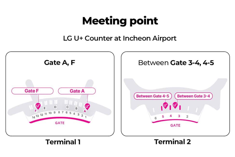 Image N°4 de Aéroport d'Incheon : Traveler SIM et carte de transport T-money activité à Séoul, publiée par le prestataire
